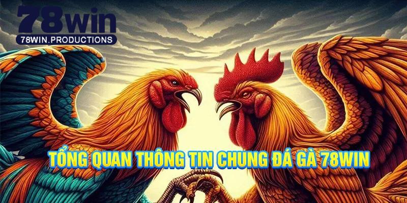 Đá gà 78win là nền tảng giải trí đáng tin cậy trong năm 2025